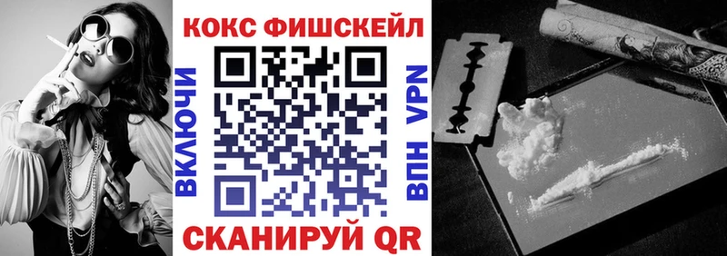КОКАИН Эквадор  мориарти Telegram  Ильский  гидра ссылка 
