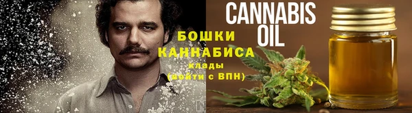 соль ск Михайлов