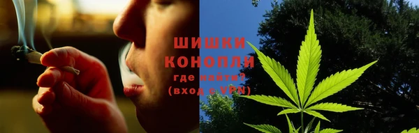 стаф Тольятти