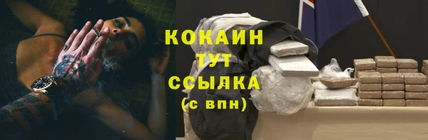 крисы Михайловск