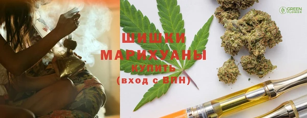 соль ск Михайлов